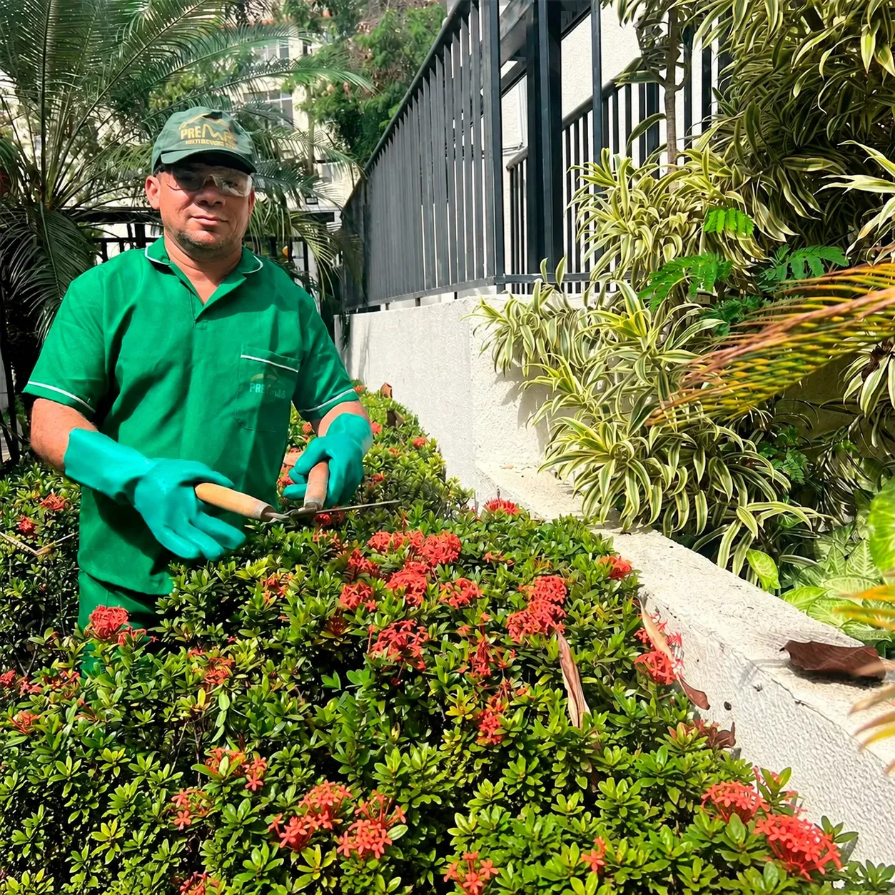 Jardinagem e paisagismo pela Premier Multiserviços
